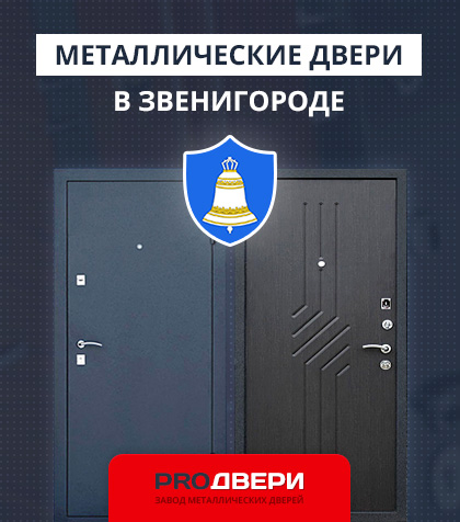 Металические двери в Звенигороде